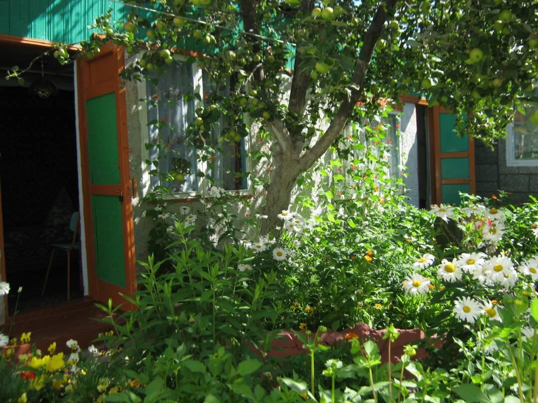 Olga Guest House Cholpon-Ata Exterior photo