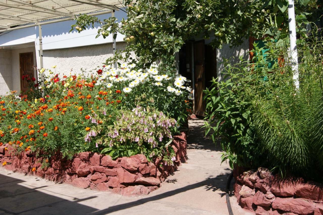 Olga Guest House Cholpon-Ata Exterior photo